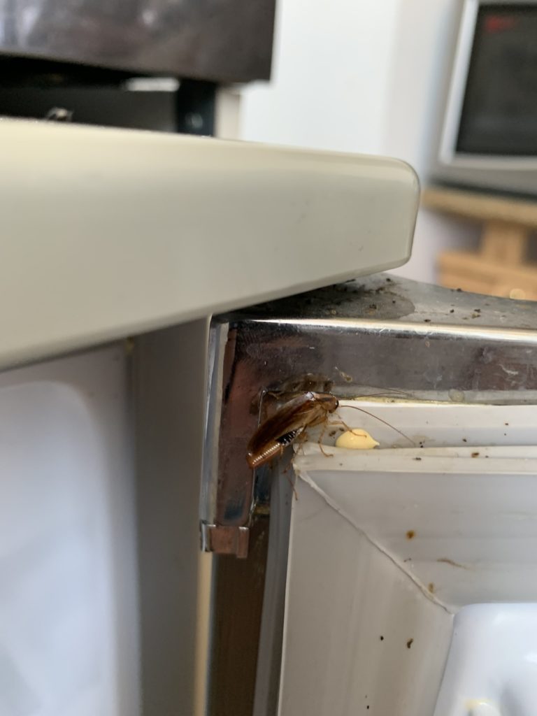 ASSAINISSEMENT DEBOUCHAGE A SAINT MALO 1