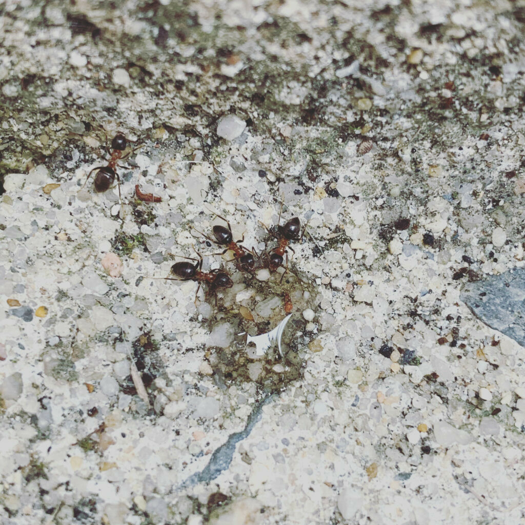 ASSAINISSEMENT DEBOUCHAGE A SAINT MALO 2