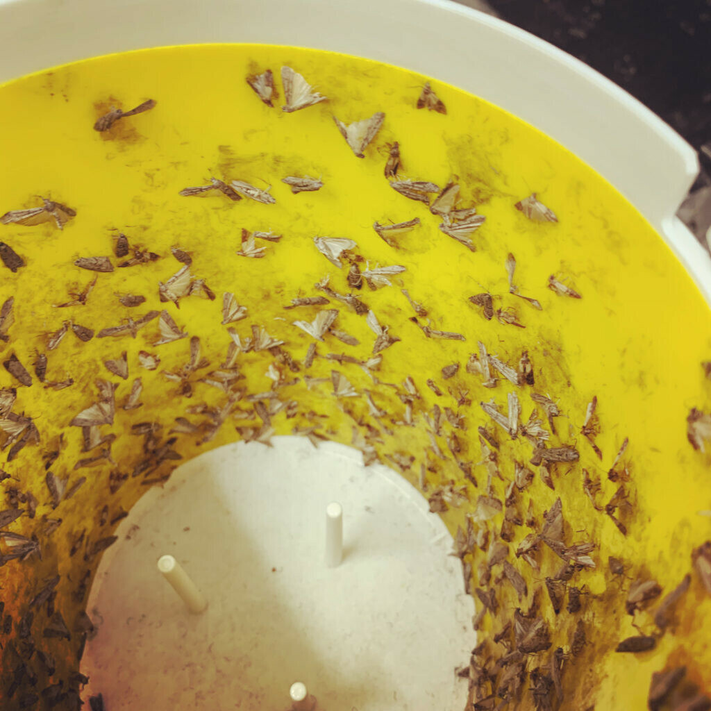 ASSAINISSEMENT DEBOUCHAGE A SAINT MALO 3