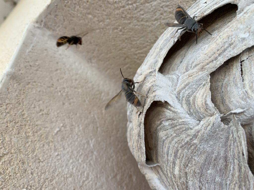 ASSAINISSEMENT DEBOUCHAGE A SAINT MALO 4